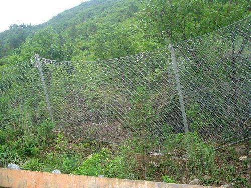 RX-075型SNS被動防護(hù)網(wǎng)